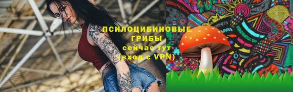 jwh Аркадак