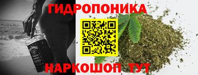 твердый Заводоуковск