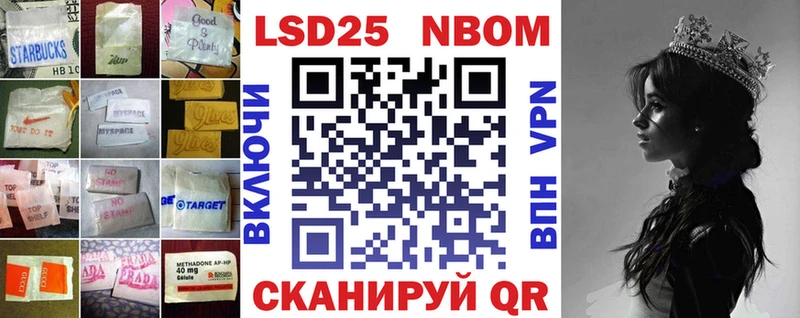 MEGA как зайти  цена   Курчалой  ЛСД экстази кислота 