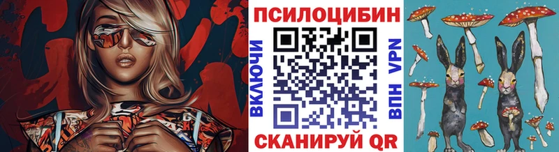 где купить наркоту  Курчалой  Галлюциногенные грибы мухоморы 