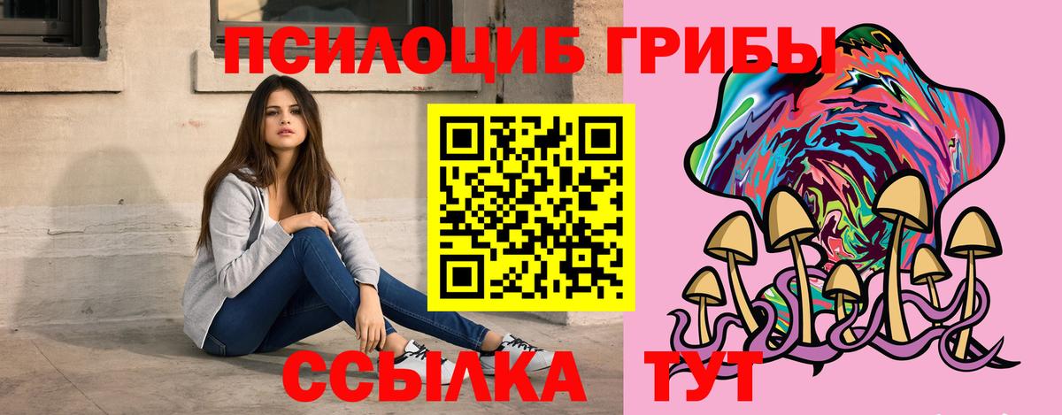 Галлюциногенные грибы мицелий  Вход с VPN  Курчалой  Галлюциногенные грибы GOLDEN TEACHER 
