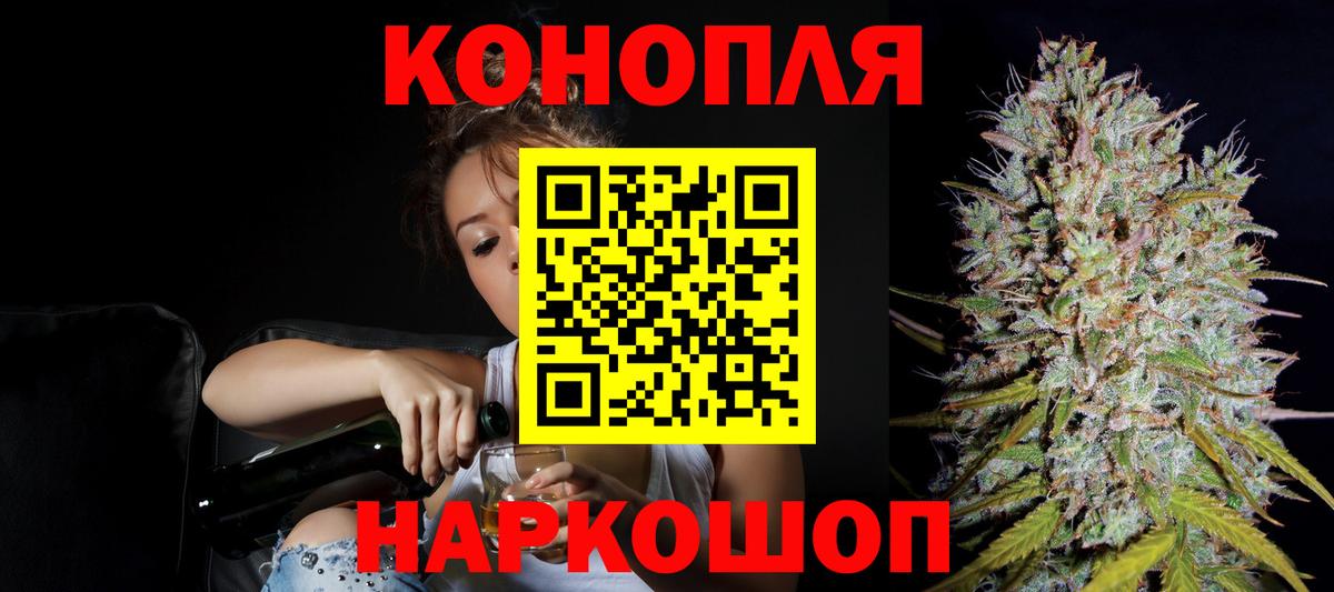 Канабис ГИДРОПОН Курчалой